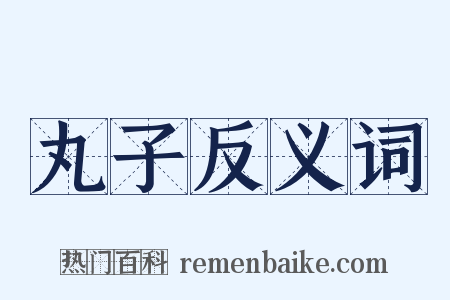 丸子反义词是什么意思的图片